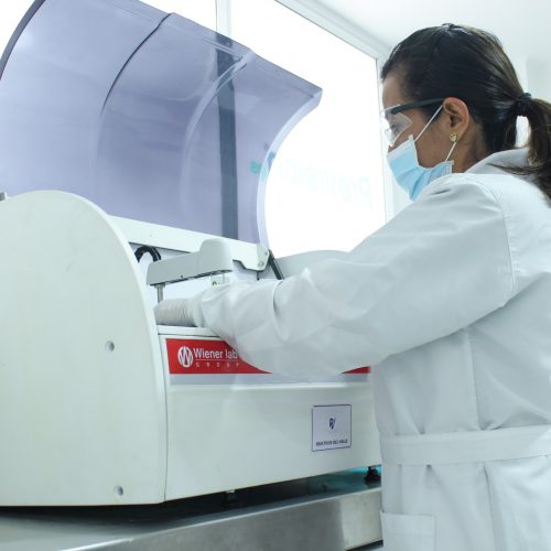 Prevision ips pereira